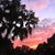 Andrea Turbeville's profile image