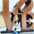 Garima Chaurasia's profile image