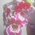 Lori Oakes's profile image