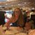 Sandra Wales's profile image
