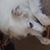 Diane Parr's profile image