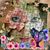 Susan Parsons's profile image