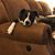 Sharon Layfield Story's profile image