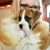 Kimberly Jensen's profile image
