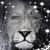 Barb Pienta Simmons's profile image