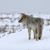 David Bigler's profile image