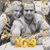 Amjc Pinho's profile image