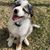 Leslie Marie Bettner Brashaw's profile image