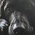 Jeremy J Hetherington's profile image