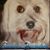 Rita Kestner's profile image