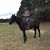 Daniel Davis's profile image