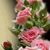Darling De Elias's profile image