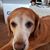 Casey Honeyager's profile image