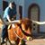 Douglas Stephens's profile image