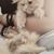 Babie Doll Jumani's profile image