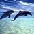 Terri Jones's profile image