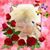 Martha Wheat Stice's profile image