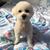 Sophia Fong's profile image