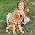 Brooklynn Combs's profile image
