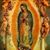 Judith Vega's profile image
