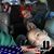 Jackie An Steven Rawlins's profile image