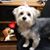Terri Terri West's profile image