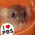 Cathleen Schneider-Russell's profile image