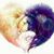 Cassie Hawks's profile image
