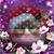 Amanda Marie Norton's profile image