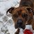 Audrey Engberg's profile image