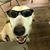 Baxter Ford's profile image