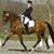 Sharon Brandes Myers's profile image