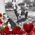 Terri Worley's profile image