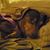 Tamara Hatten's profile image