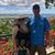 Brenda Currier's profile image