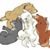 Ashley Vera's profile image