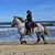 Tina A. Sutton's profile image