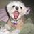 Karlita Corini's profile image