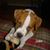 Brynne Craig Sluder's profile image