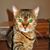 Carole Jones's profile image
