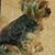 Gail White's profile image