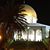 Zahi Shalabi's profile image