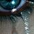 Persis Dubiel-Mobley's profile image