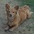 Susan Hoover Ramsdell's profile image
