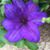 Cheryl Loomis Beer's profile image