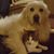 Georgette Galley's profile image