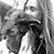 Heather Volk Gregoire's profile image