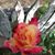 Patty Thompson Weller's profile image