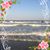 Paula Girard's profile image