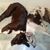 Brenda Jolliff's profile image